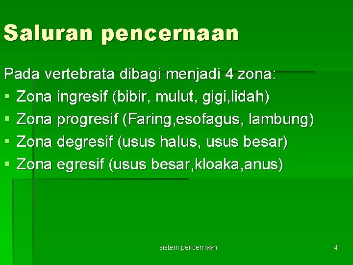 Saluran pencernaan Pada vertebrata dibagi menjadi 4 zona: § Zona ingresif (bibir, mulut, gigi,