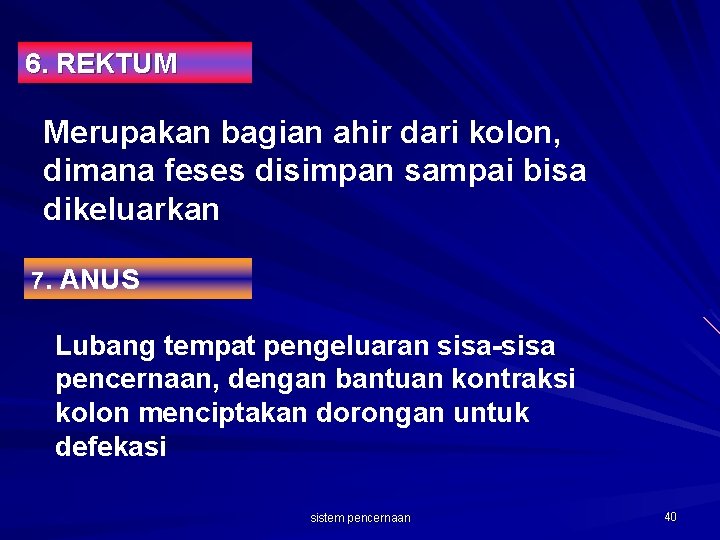 6. REKTUM Merupakan bagian ahir dari kolon, dimana feses disimpan sampai bisa dikeluarkan 7.