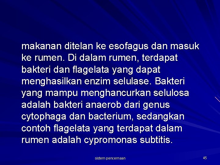 makanan ditelan ke esofagus dan masuk ke rumen. Di dalam rumen, terdapat bakteri dan