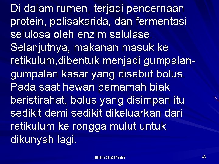 Di dalam rumen, terjadi pencernaan protein, polisakarida, dan fermentasi selulosa oleh enzim selulase. Selanjutnya,