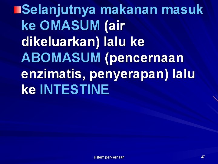 Selanjutnya makanan masuk ke OMASUM (air dikeluarkan) lalu ke ABOMASUM (pencernaan enzimatis, penyerapan) lalu