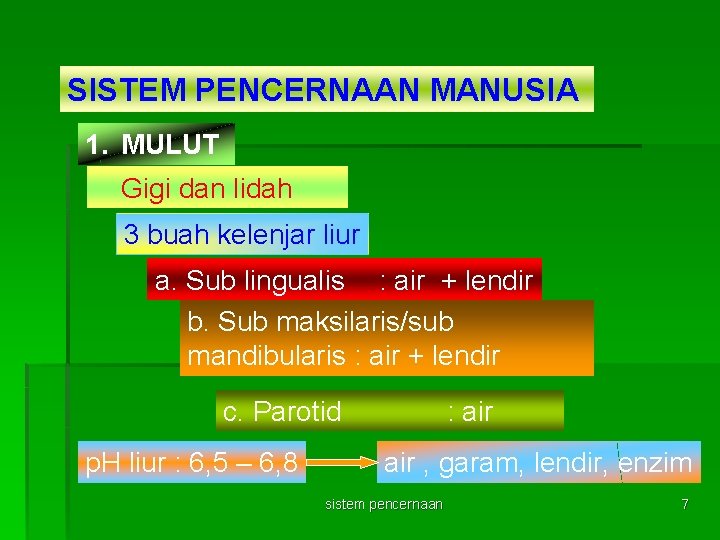 SISTEM PENCERNAAN MANUSIA 1. MULUT Gigi dan lidah 3 buah kelenjar liur a. Sub