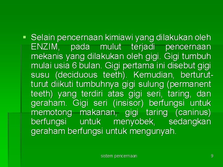 § Selain pencernaan kimiawi yang dilakukan oleh ENZIM, pada mulut terjadi pencernaan mekanis yang