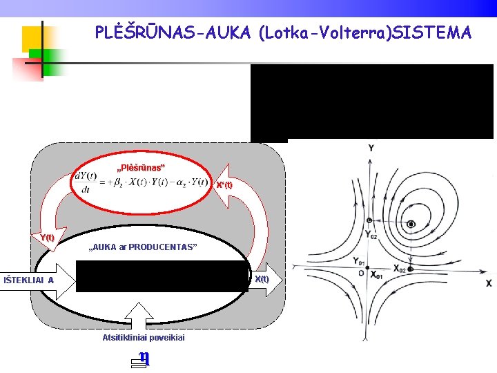 PLĖŠRŪNAS-AUKA (Lotka-Volterra)SISTEMA „Plėšrūnas” X‘(t) Y(t) „AUKA ar PRODUCENTAS” X(t) η IŠTEKLIAI A Atsitiktiniai poveikiai