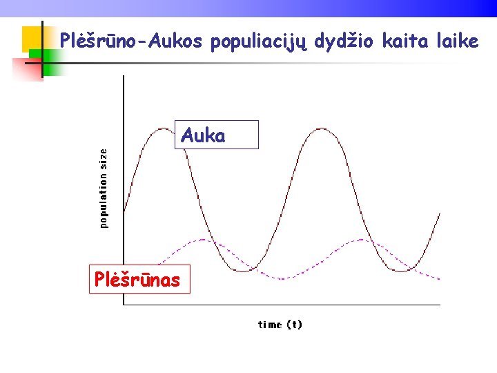 Plėšrūno-Aukos populiacijų dydžio kaita laike Auka Plėšrūnas 