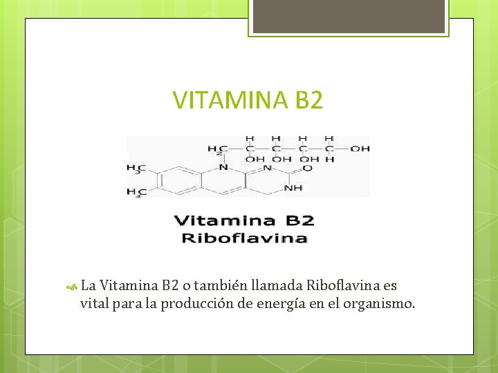 VITAMINA B 2 La Vitamina B 2 o también llamada Riboflavina es vital para