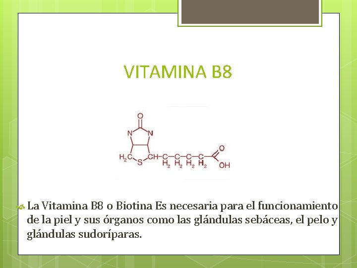 VITAMINA B 8 La Vitamina B 8 o Biotina Es necesaria para el funcionamiento