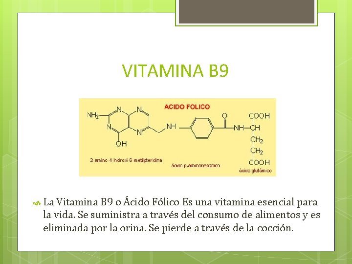 VITAMINA B 9 La Vitamina B 9 o Ácido Fólico Es una vitamina esencial