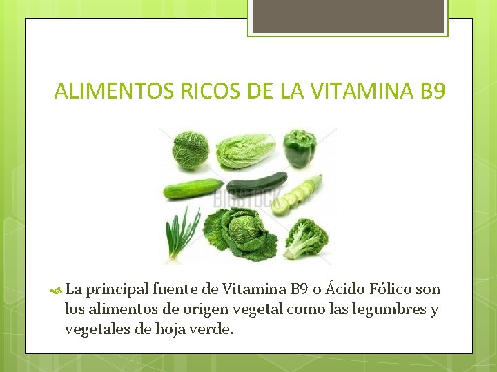 ALIMENTOS RICOS DE LA VITAMINA B 9 La principal fuente de Vitamina B 9
