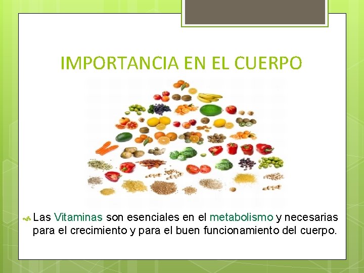 IMPORTANCIA EN EL CUERPO Las Vitaminas son esenciales en el metabolismo y necesarias para