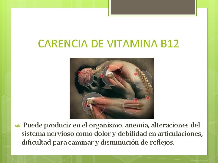 CARENCIA DE VITAMINA B 12 Puede producir en el organismo, anemia, alteraciones del sistema