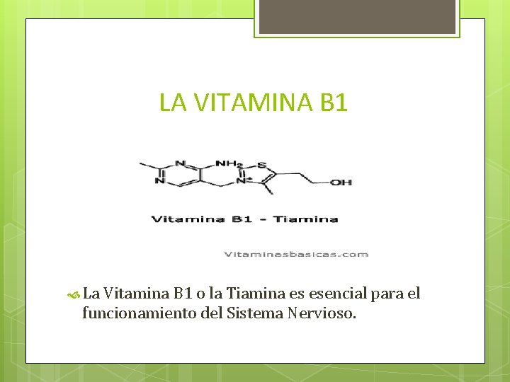 LA VITAMINA B 1 La Vitamina B 1 o la Tiamina es esencial para