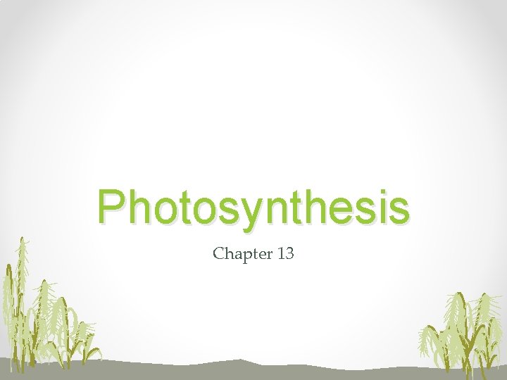 Photosynthesis Chapter 13 