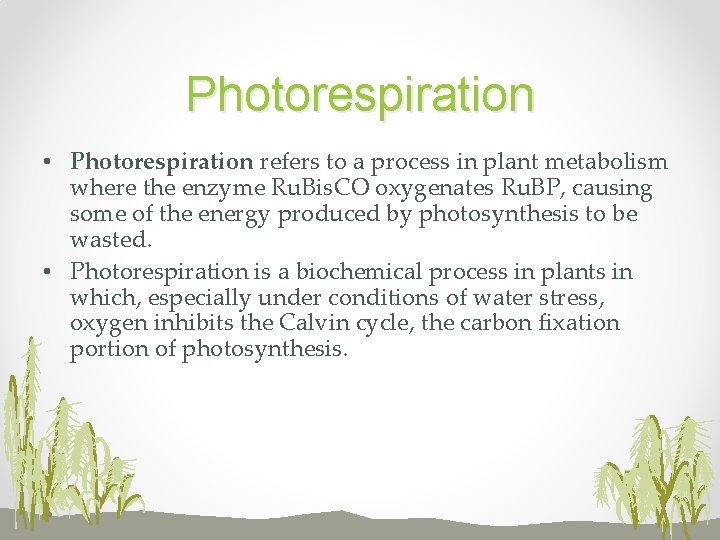 Photorespiration • Photorespiration refers to a process in plant metabolism where the enzyme Ru.