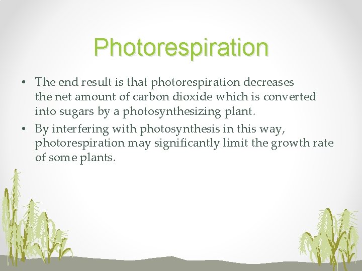 Photorespiration • The end result is that photorespiration decreases the net amount of carbon