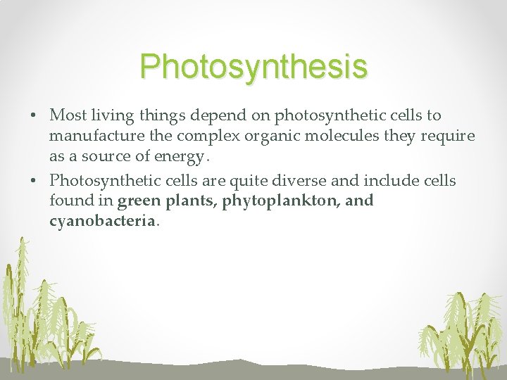 Photosynthesis • Most living things depend on photosynthetic cells to manufacture the complex organic