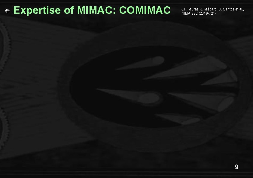 Expertise of MIMAC: COMIMAC J. F. Muraz, J. Médard, D. Santos et al. ,