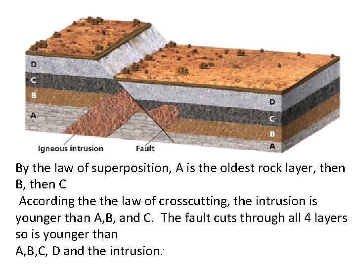 By the law of superposition, A is the oldest rock layer, then B, then