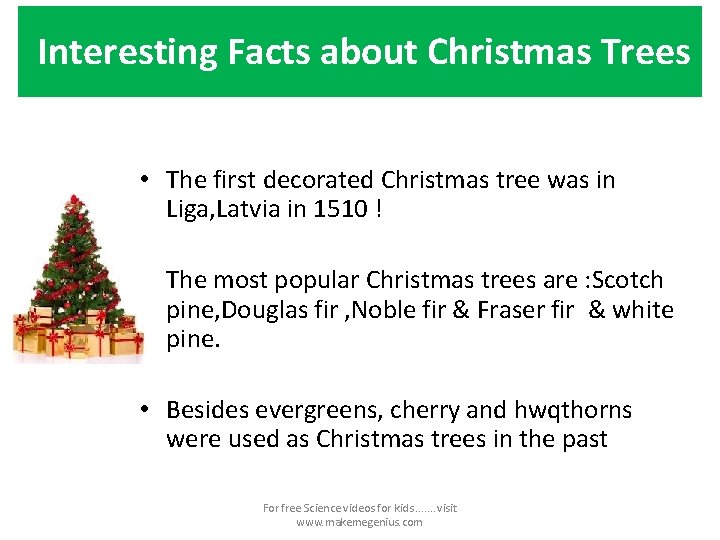 Interesting Facts about Christmas Trees • The first decorated Christmas tree was in Liga,