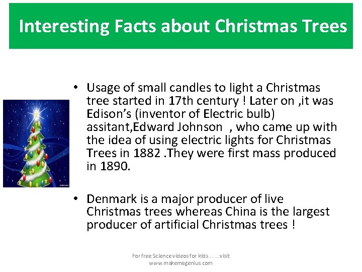 Interesting Facts about Christmas Trees • Usage of small candles to light a Christmas