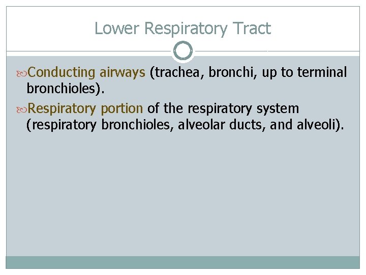 Lower Respiratory Tract Conducting airways (trachea, bronchi, up to terminal bronchioles). Respiratory portion of