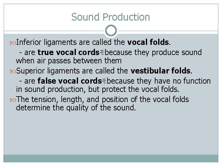 Sound Production Inferior ligaments are called the vocal folds. - are true vocal cordsﾓbecause