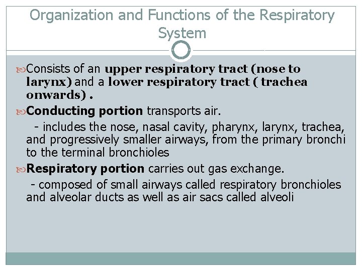 Organization and Functions of the Respiratory System Consists of an upper respiratory tract (nose