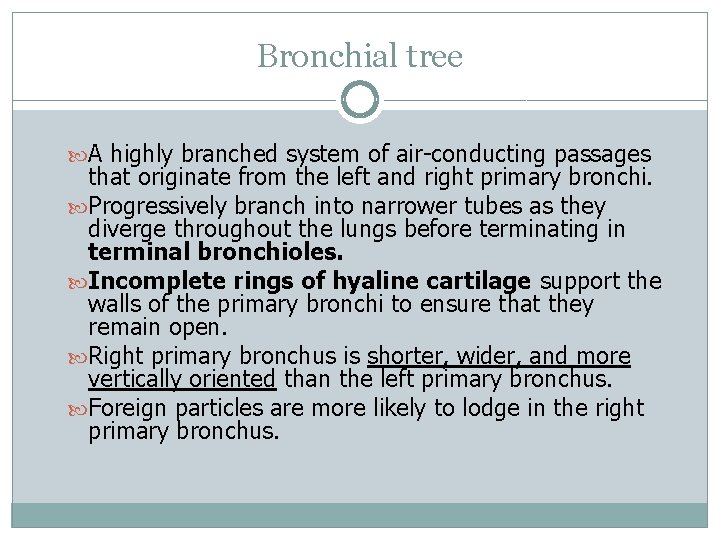 Bronchial tree A highly branched system of air-conducting passages that originate from the left