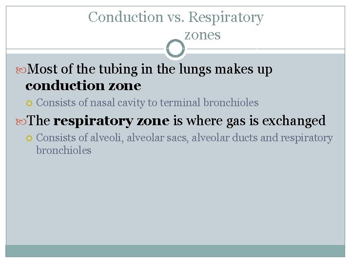 Conduction vs. Respiratory zones Most of the tubing in the lungs makes up conduction