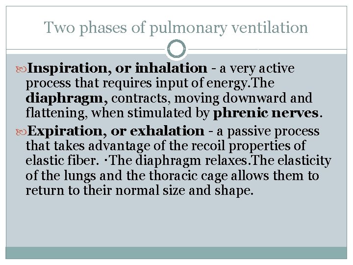 Two phases of pulmonary ventilation Inspiration, or inhalation - a very active process that