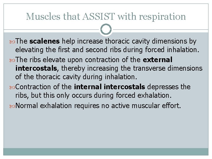 Muscles that ASSIST with respiration The scalenes help increase thoracic cavity dimensions by elevating