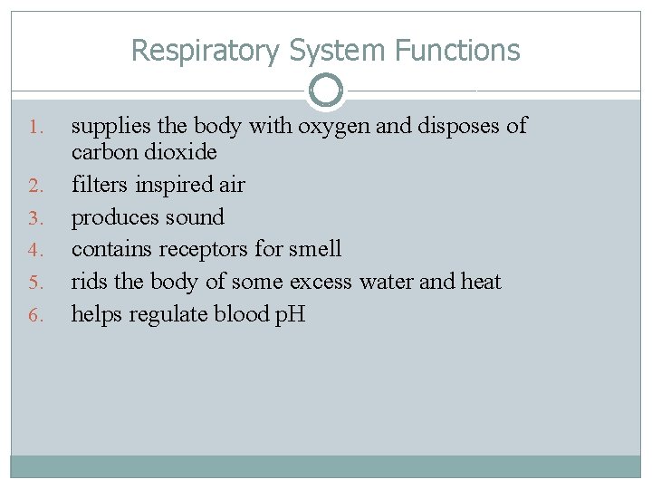 Respiratory System Functions 1. 2. 3. 4. 5. 6. supplies the body with oxygen