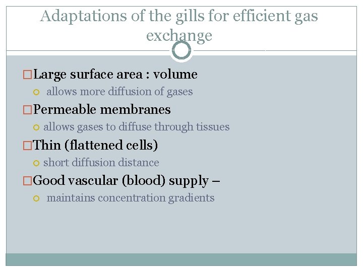 Adaptations of the gills for efficient gas exchange �Large surface area : volume allows