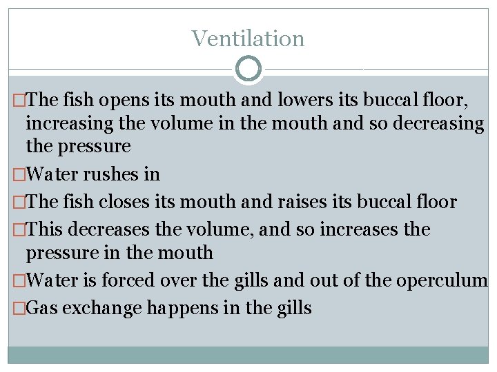 Ventilation �The fish opens its mouth and lowers its buccal floor, increasing the volume