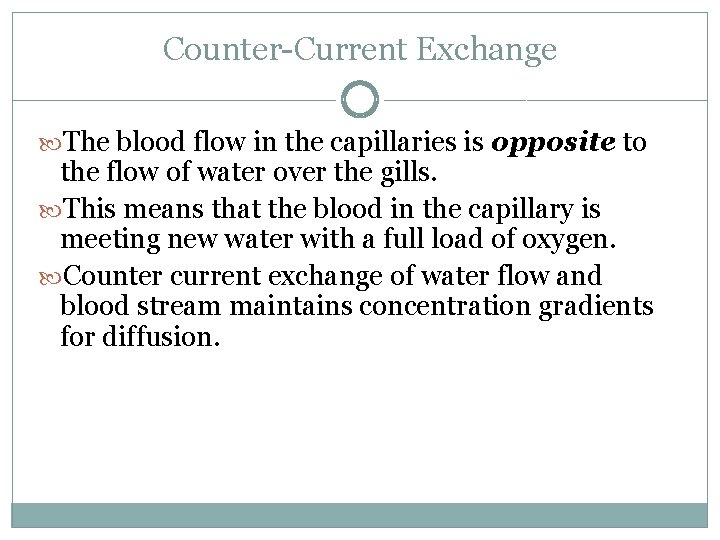 Counter-Current Exchange The blood flow in the capillaries is opposite to the flow of