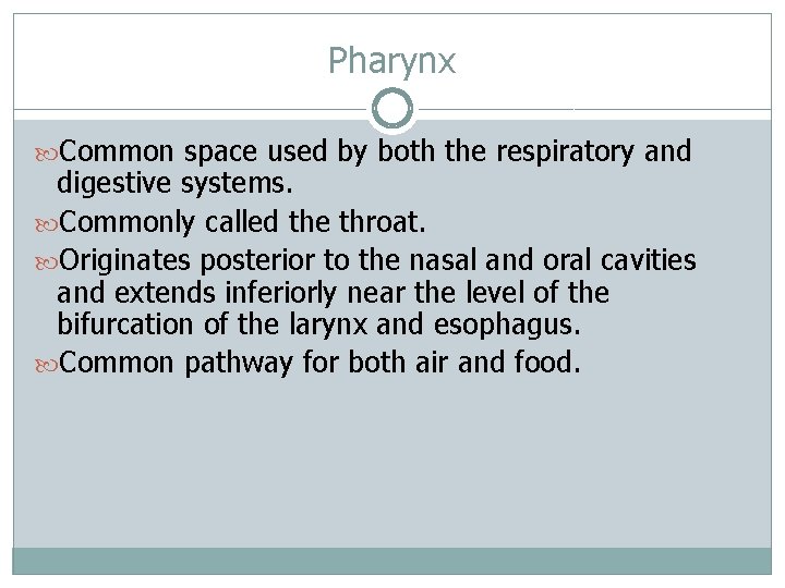 Pharynx Common space used by both the respiratory and digestive systems. Commonly called the