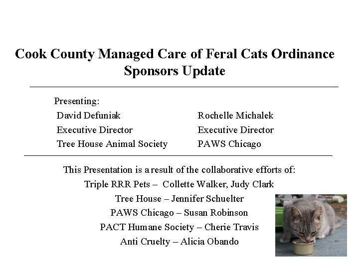 Cook County Managed Care of Feral Cats Ordinance Sponsors Update Presenting: David Defuniak Executive