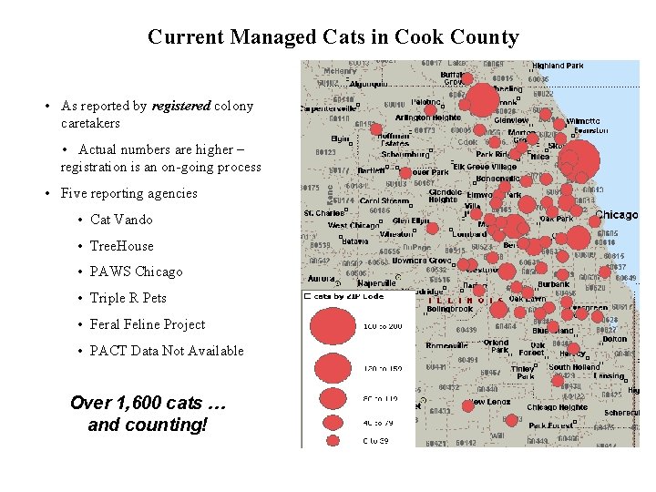 Current Managed Cats in Cook County • As reported by registered colony caretakers •