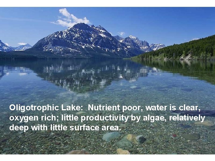 Oligotrophic Lake: Nutrient poor, water is clear, oxygen rich; little productivity by algae, relatively