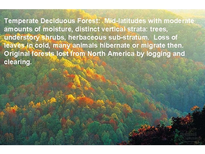 Temperate Deciduous Forest: Mid-latitudes with moderate amounts of moisture, distinct vertical strata: trees, understory