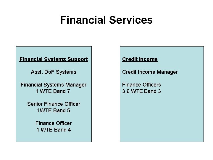 Financial Services Financial Systems Support Asst. Do. F Systems Financial Systems Manager 1 WTE