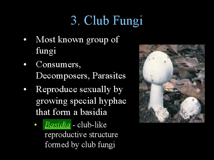 3. Club Fungi • Most known group of fungi • Consumers, Decomposers, Parasites •