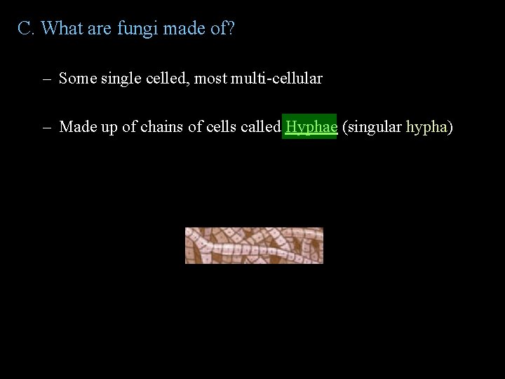 C. What are fungi made of? – Some single celled, most multi-cellular – Made