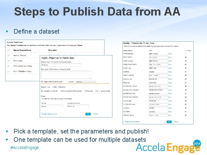 Steps to Publish Data from AA • Define a dataset • Pick a template,