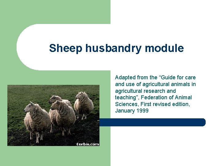 Sheep husbandry module Adapted from the “Guide for care and use of agricultural animals