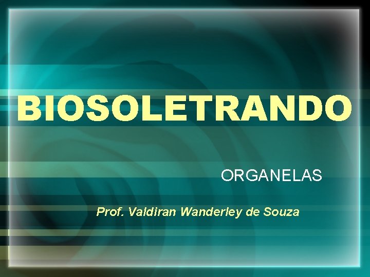 BIOSOLETRANDO ORGANELAS Prof. Valdiran Wanderley de Souza 