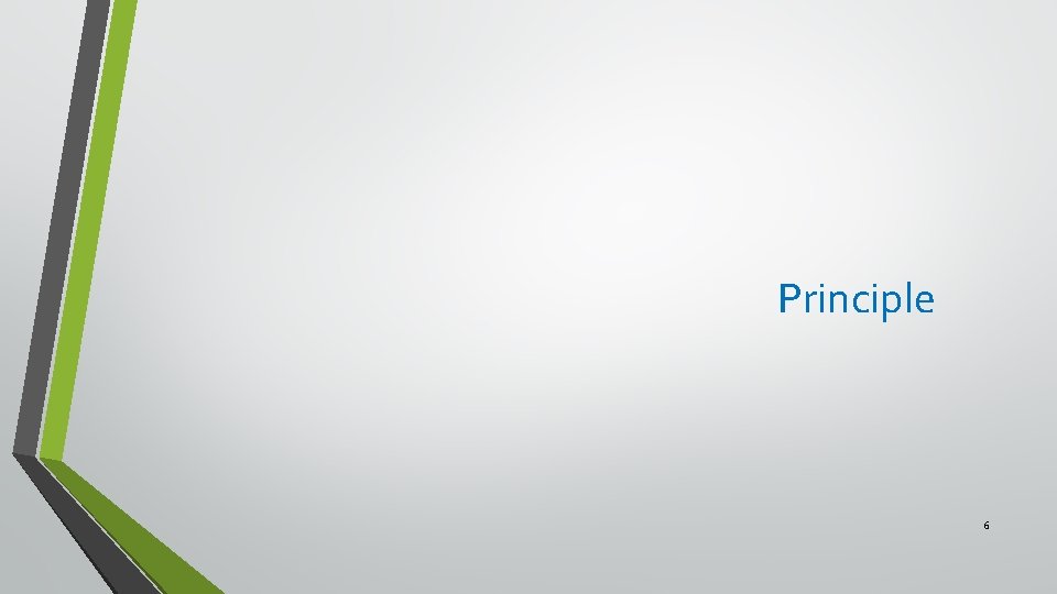 Principle 6 