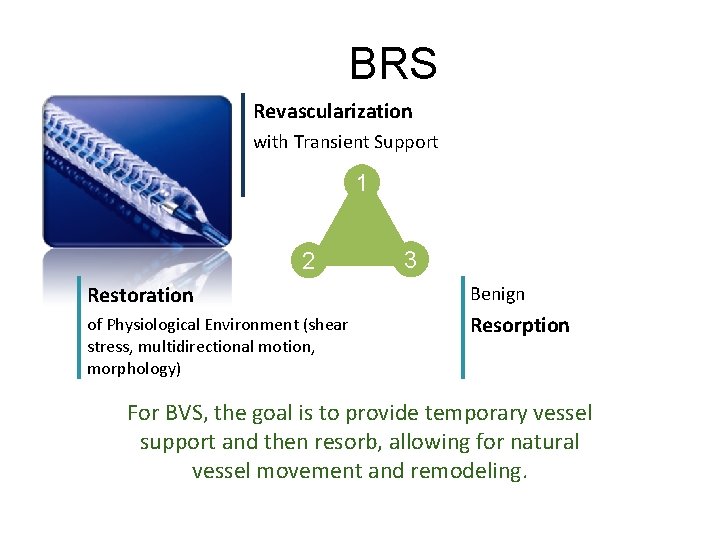 BRS Revascularization with Transient Support 1 2 3 Restoration Benign of Physiological Environment (shear