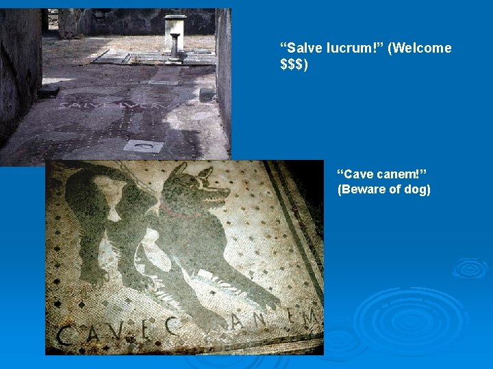 “Salve lucrum!” (Welcome $$$) “Cave canem!” (Beware of dog) 