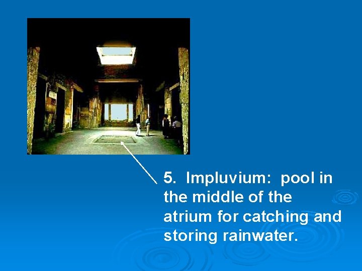 5. Impluvium: pool in the middle of the atrium for catching and storing rainwater.